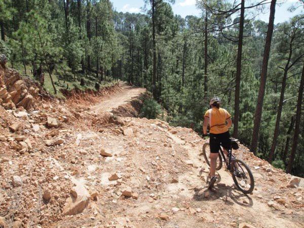Uttarakhand Resort كاوساني المظهر الخارجي الصورة
