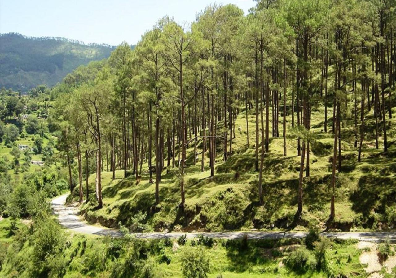 Uttarakhand Resort كاوساني المظهر الخارجي الصورة